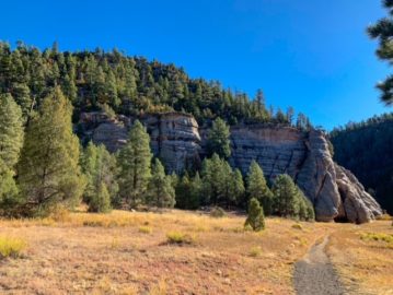 Fisher Point, a large outcrop in upper Walnut Canyon, covered with pine trees against a blue sky, viewed from the Arizona Trail after descending from the viewpoint.
