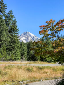 A large mountain covered in white glaciers and gray rock rises above evergreen trees against a bright blue sky